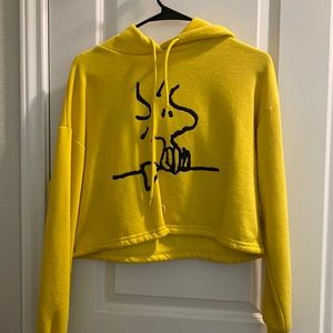 Woodstock hoodie crop top